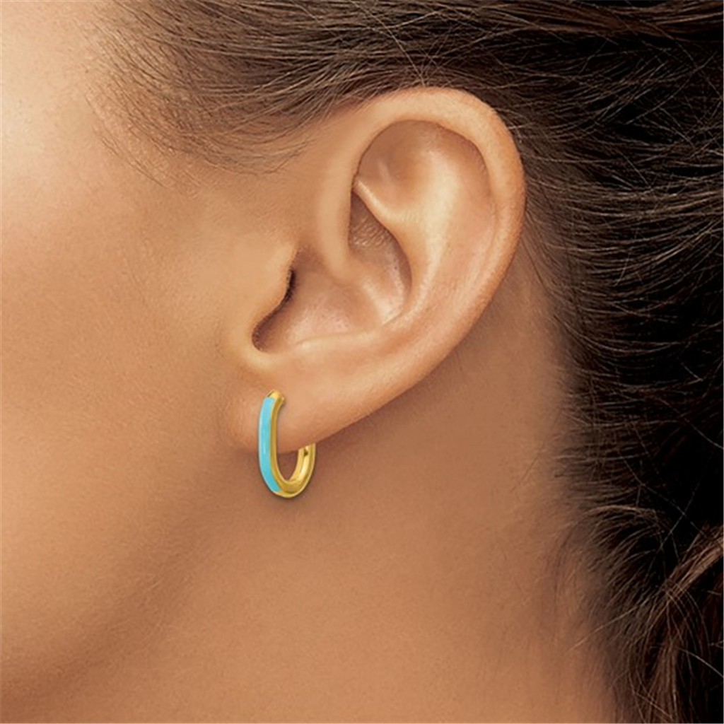 Kenna Enamel Oval Hoop Earrings