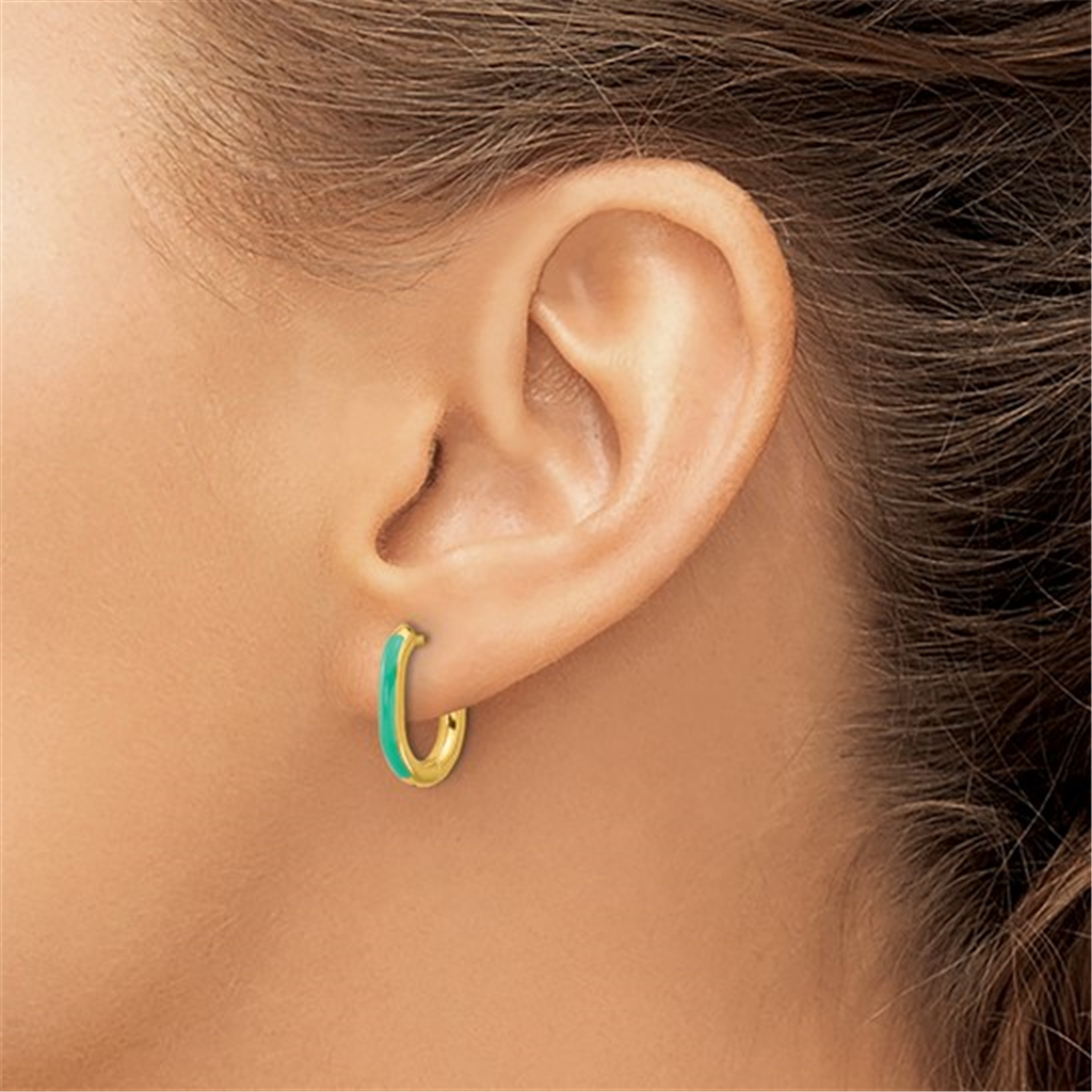 Kenna Enamel Oval Hoop Earrings