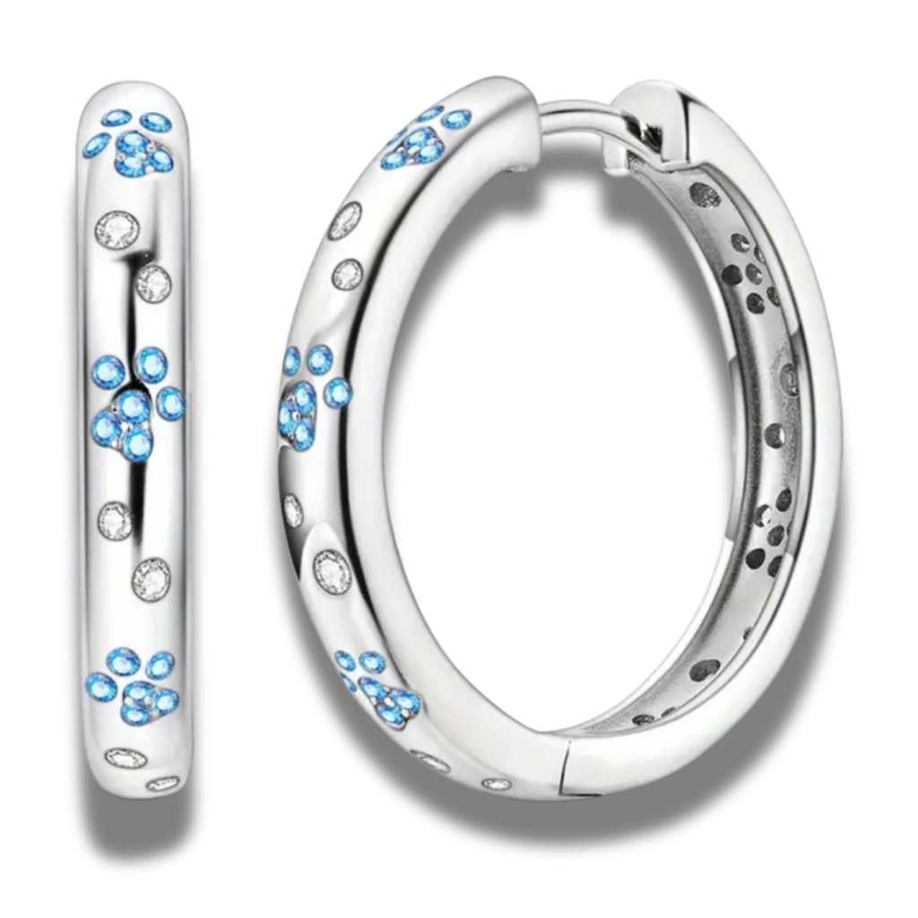 Sterling Silver Blue & White Hoop Earrings