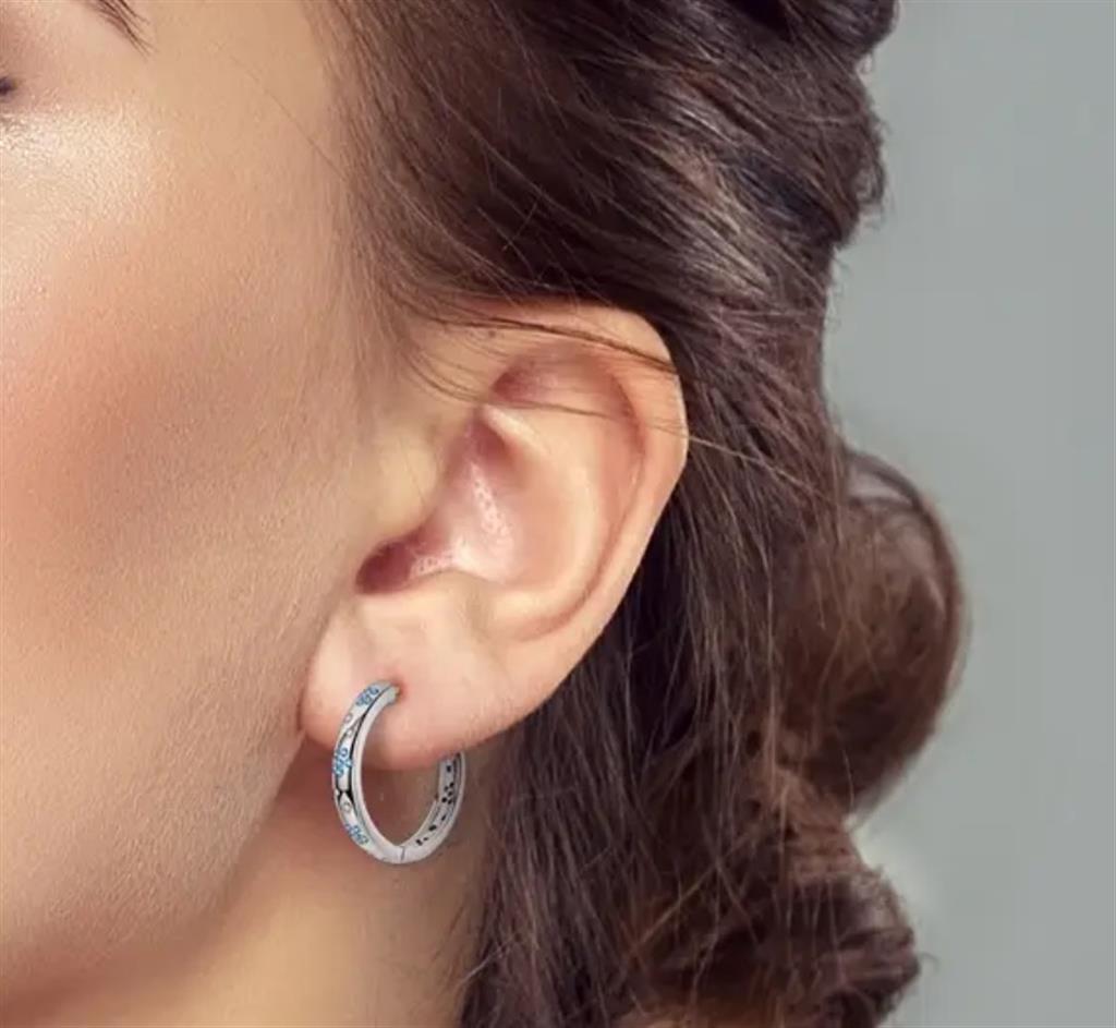Sterling Silver Blue & White Hoop Earrings