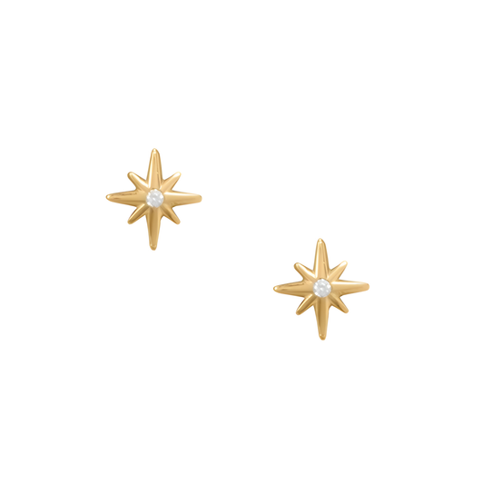 Gold Vermeil  Amanda Starburst Stud Earrings